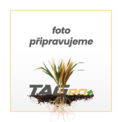 Disk hladký s prolisem / originál Forges de Niaux